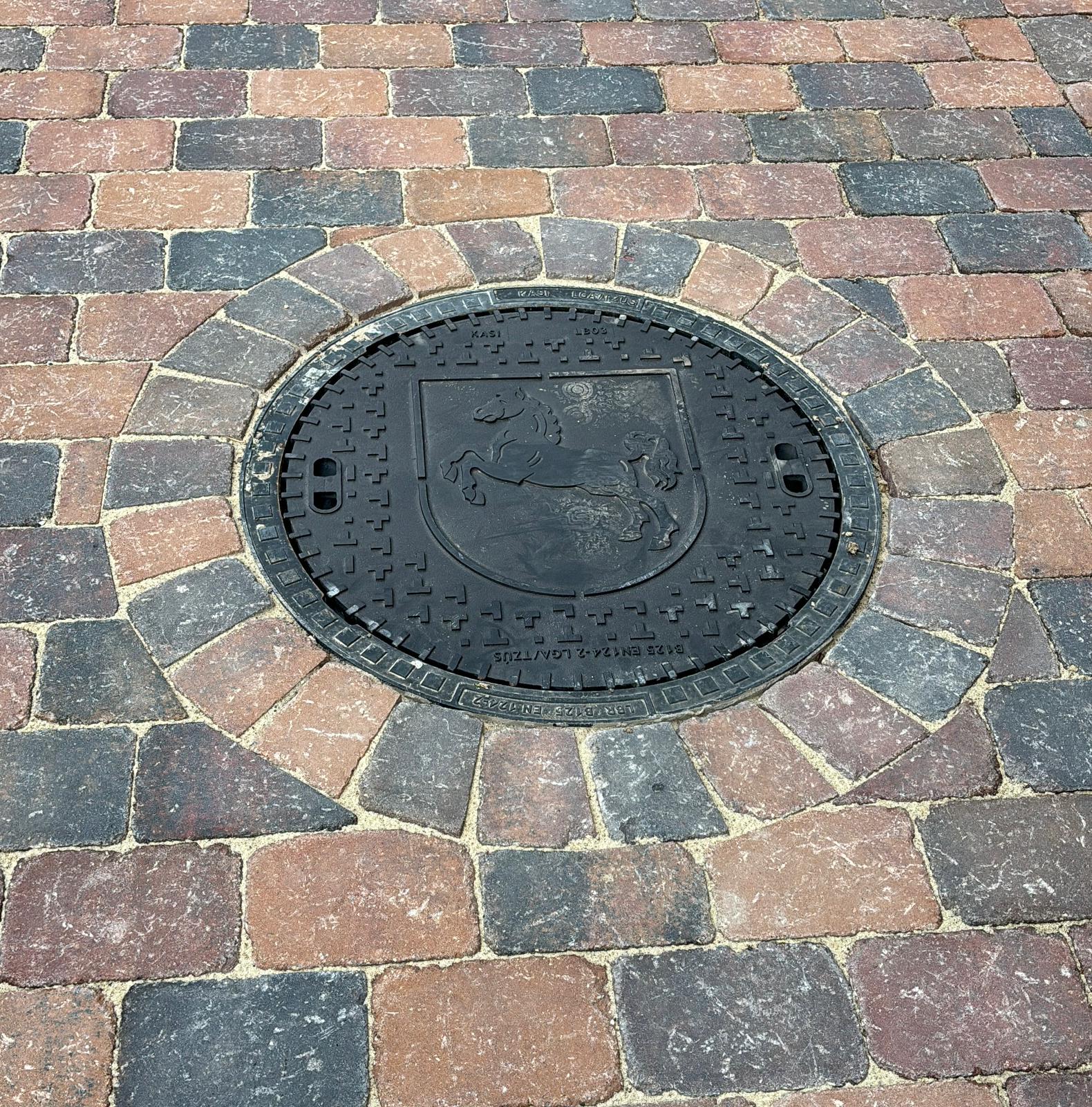 Neuanlage Burgdorf - Garten- und Landschaftsbau von CASA Gartenkonzept